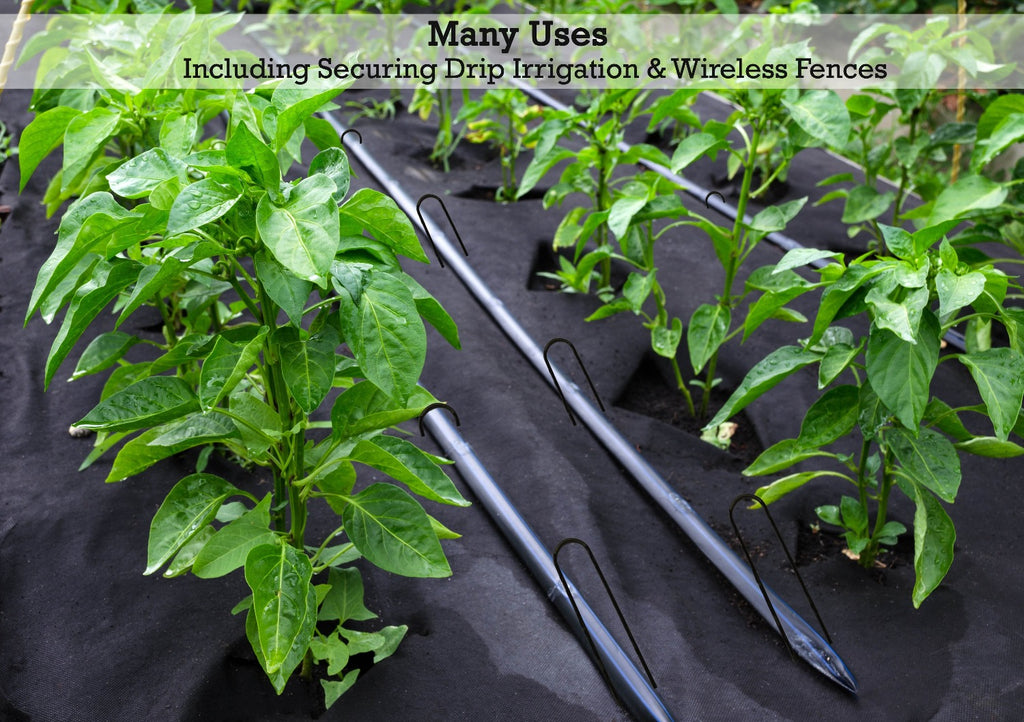 12-inch landscape staples have many uses, including securing drip irrigation and wireless fences
