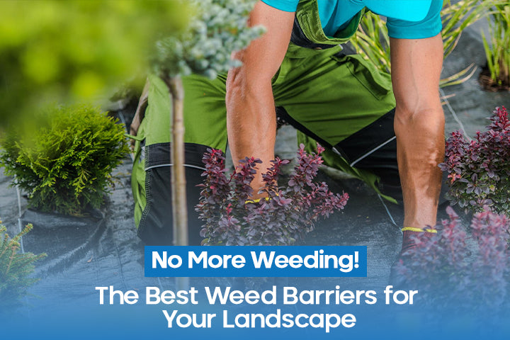 No More Weeding! Discover the Best Weed Barriers for Your Landscape ...