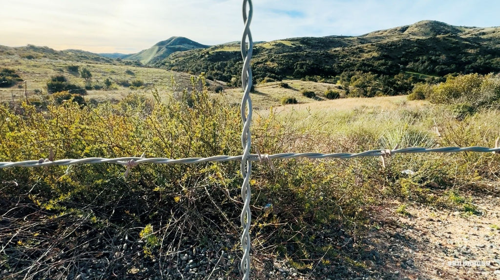 fence stays installed on barbed wire