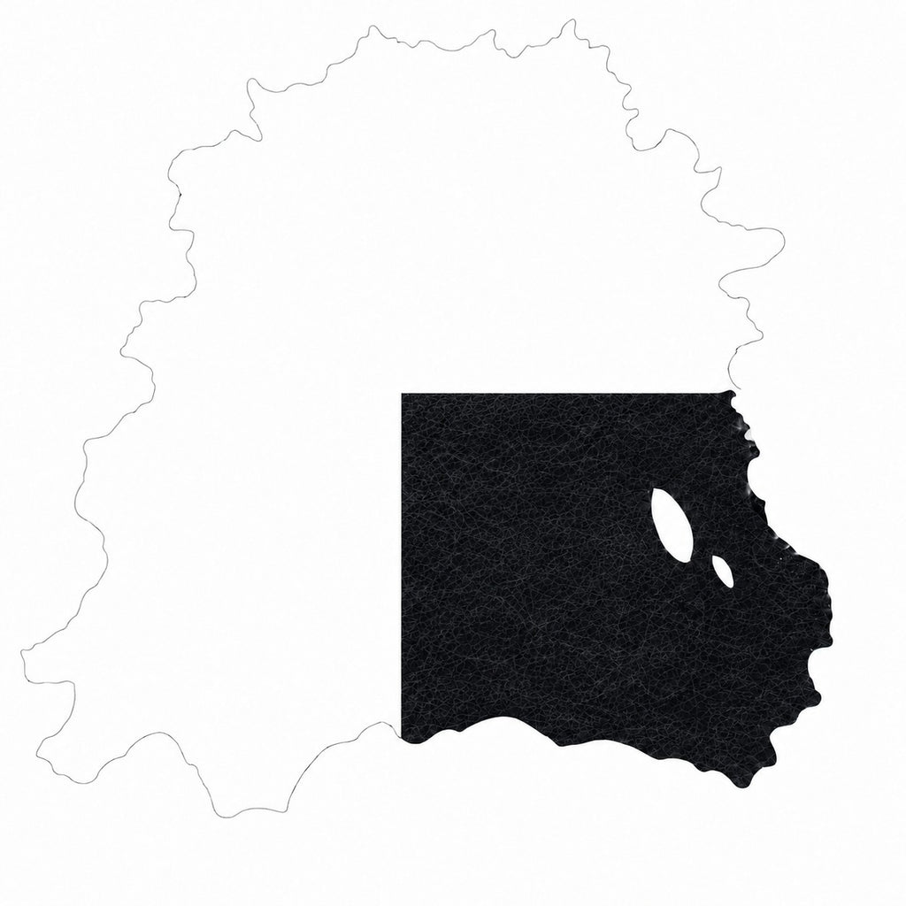 Quarter Hide Italian Black Leather
