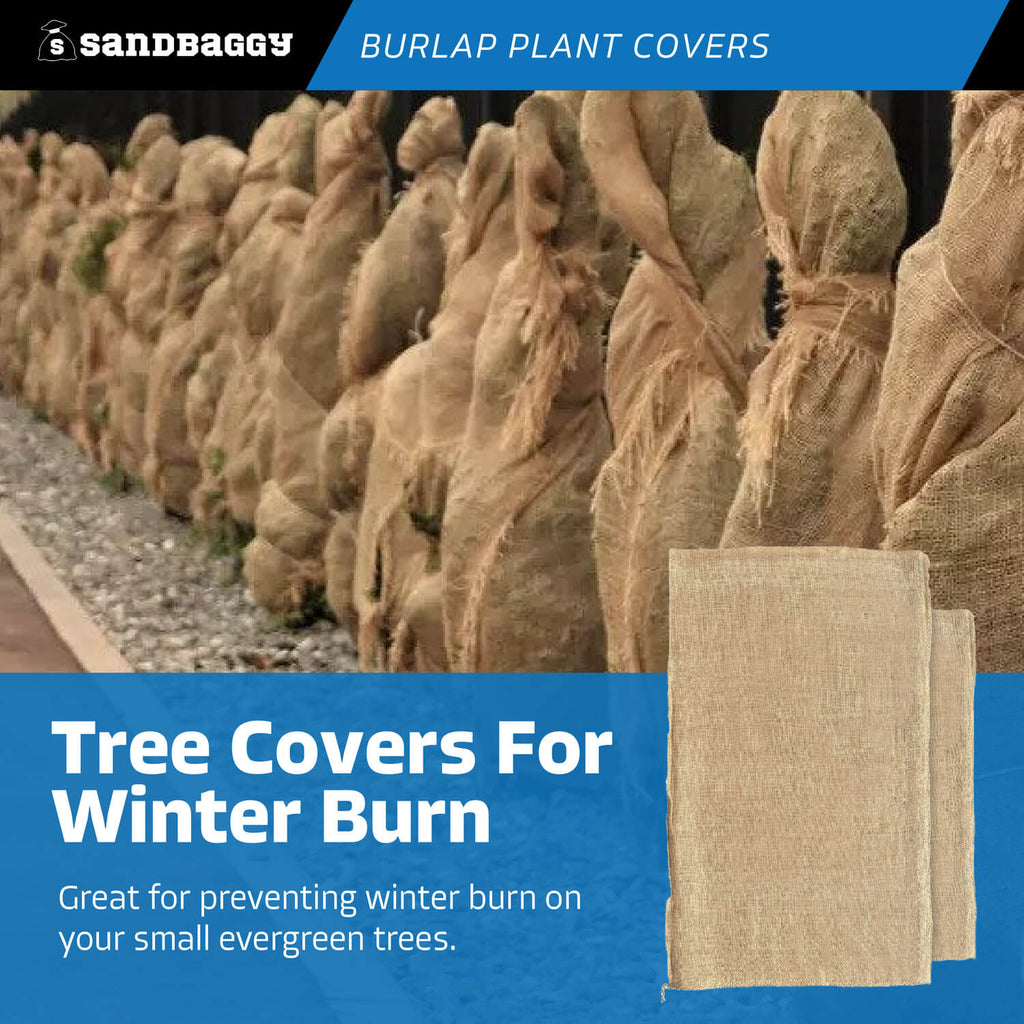 burlap plant covers - tree covers for winter burn