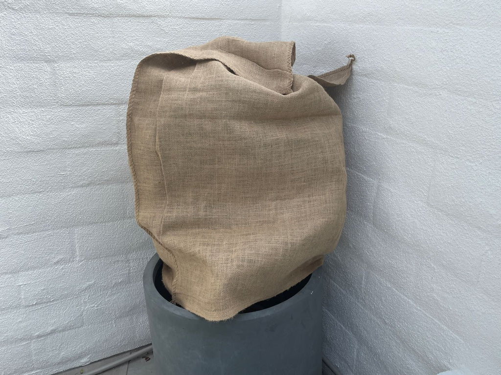 burlap plant cover bags for trees and shrubs