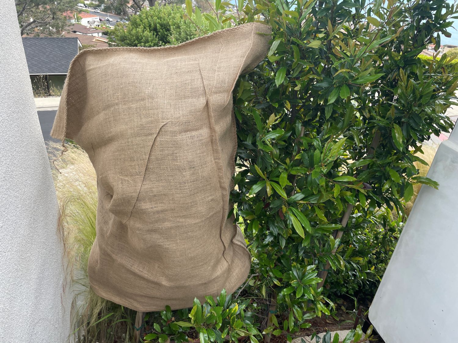 36 x 48 Extra Large Burlap Bags - 100% Natural Jute, Reusable – Sandbaggy