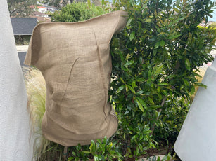 burlap bags for plants