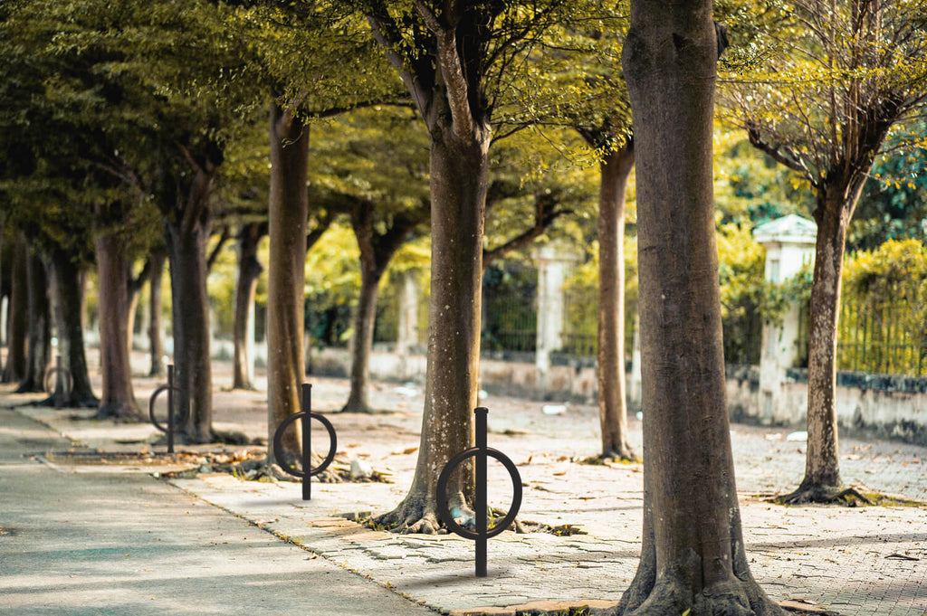 Commercial Post and Ring Bike Rack - In Ground (2 Bike Capacity)