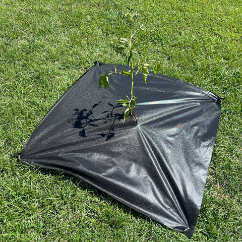 tree weed mats