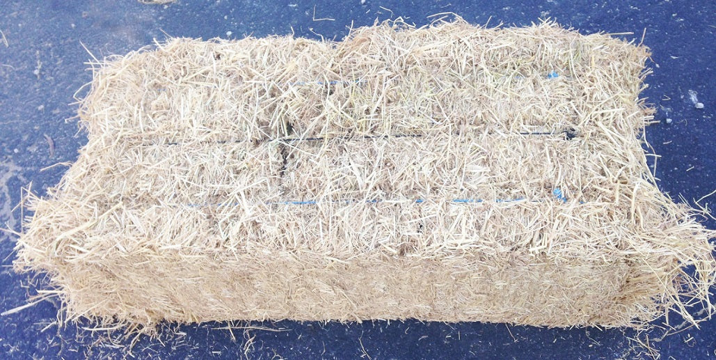 Californian research yields cattle feed from rice straw