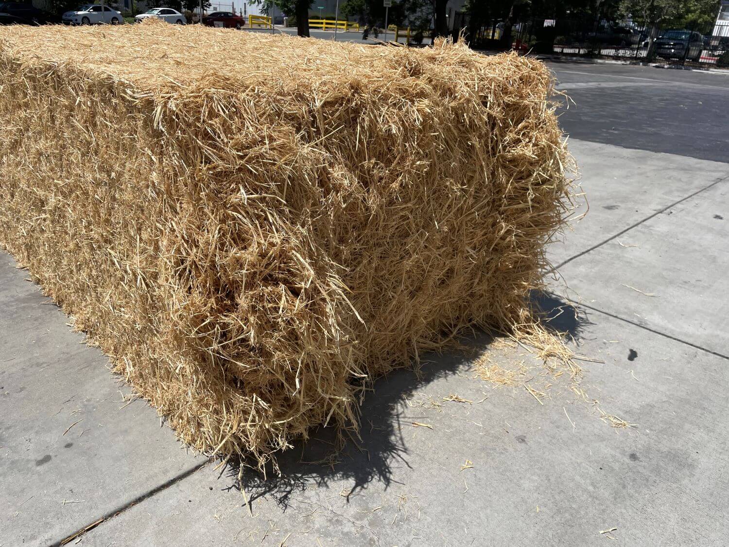 Extra Large Rice Straw Bales (3’ x 4’ x 8’) - Certified Weed Free ...