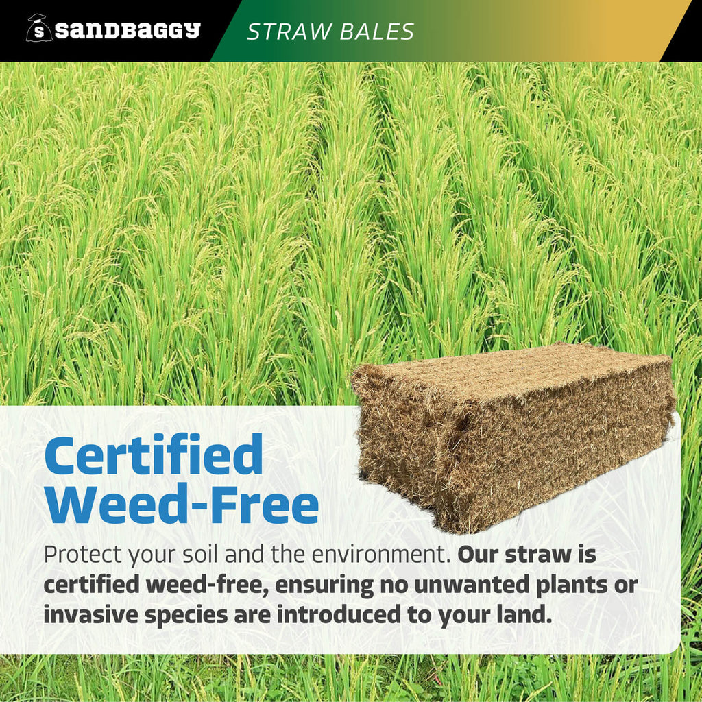 extra large certified weed free straw bales 