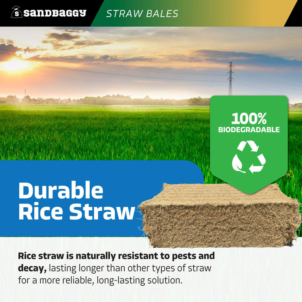 extra large weed free rice straw bales