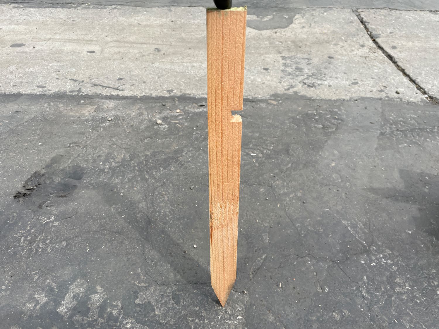 Wooden pegs - MST-EROSION CONTROL