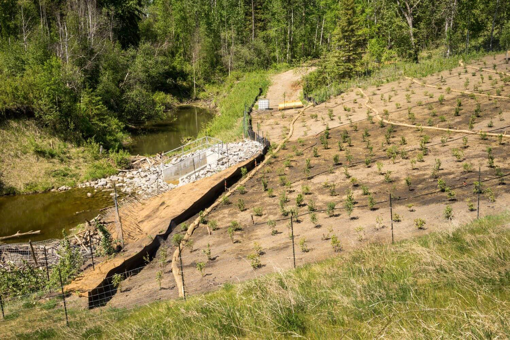 Install Silt Fence for sediment retention on hillside