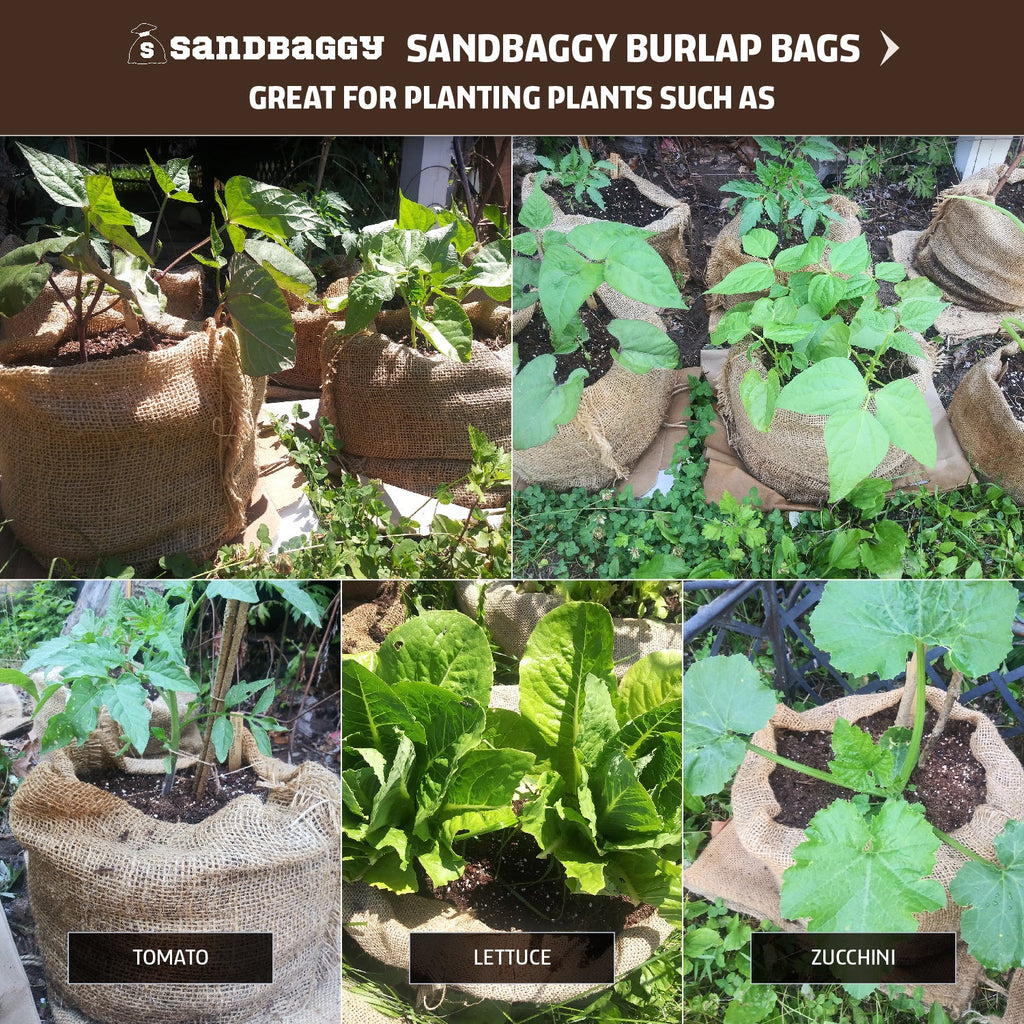 burlap sacks holding plants
