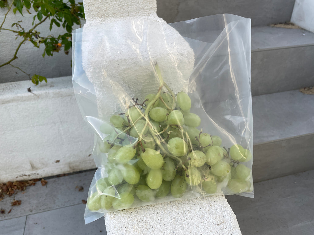 Clear Poly Bags | Two Sizes - 9" x 12" & 10" x 10" | Industrial Grade Polyethylene Film | Food Grade Plastic Compliant with FDA & USDA | 100% Recyclable