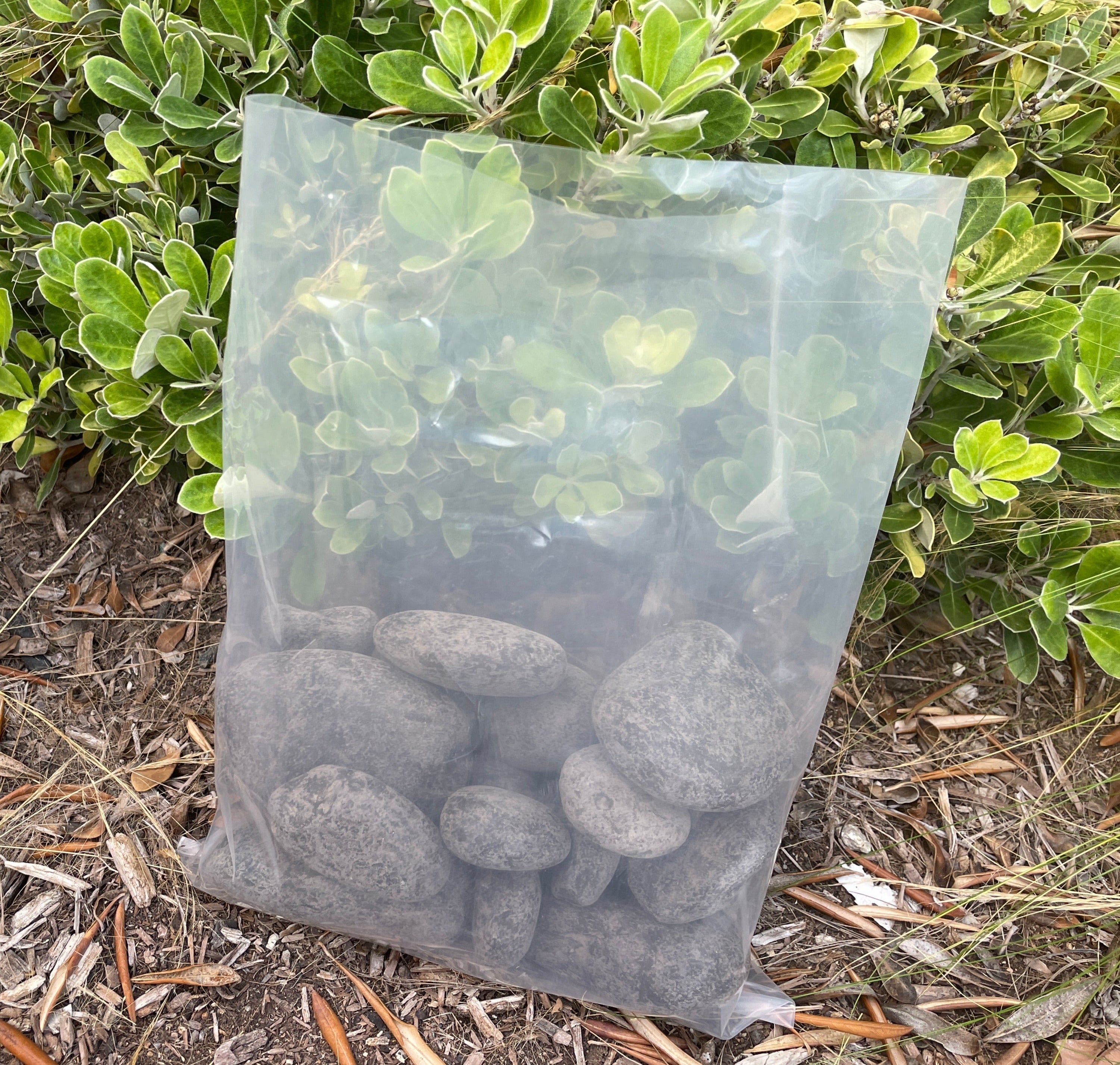 clear plastic bags for plants Clear Poly Bags | Two Sizes - 9" x 12" & 10" x 10" | Industrial Grade Polyethylene Film | Food Grade Plastic Compliant with FDA & USDA