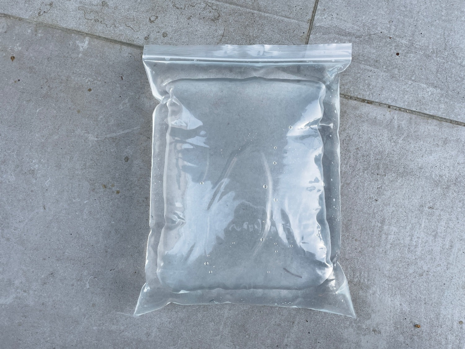Clear Ziploc Bag