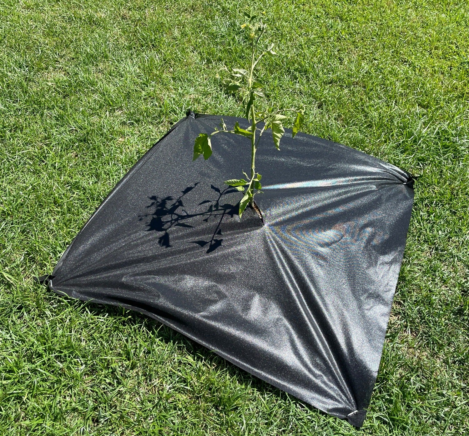 rubber mats for around trees Tree Mats (3 ft x 3 ft) - Weed Barrier, Farming, Gardening - UV Protected