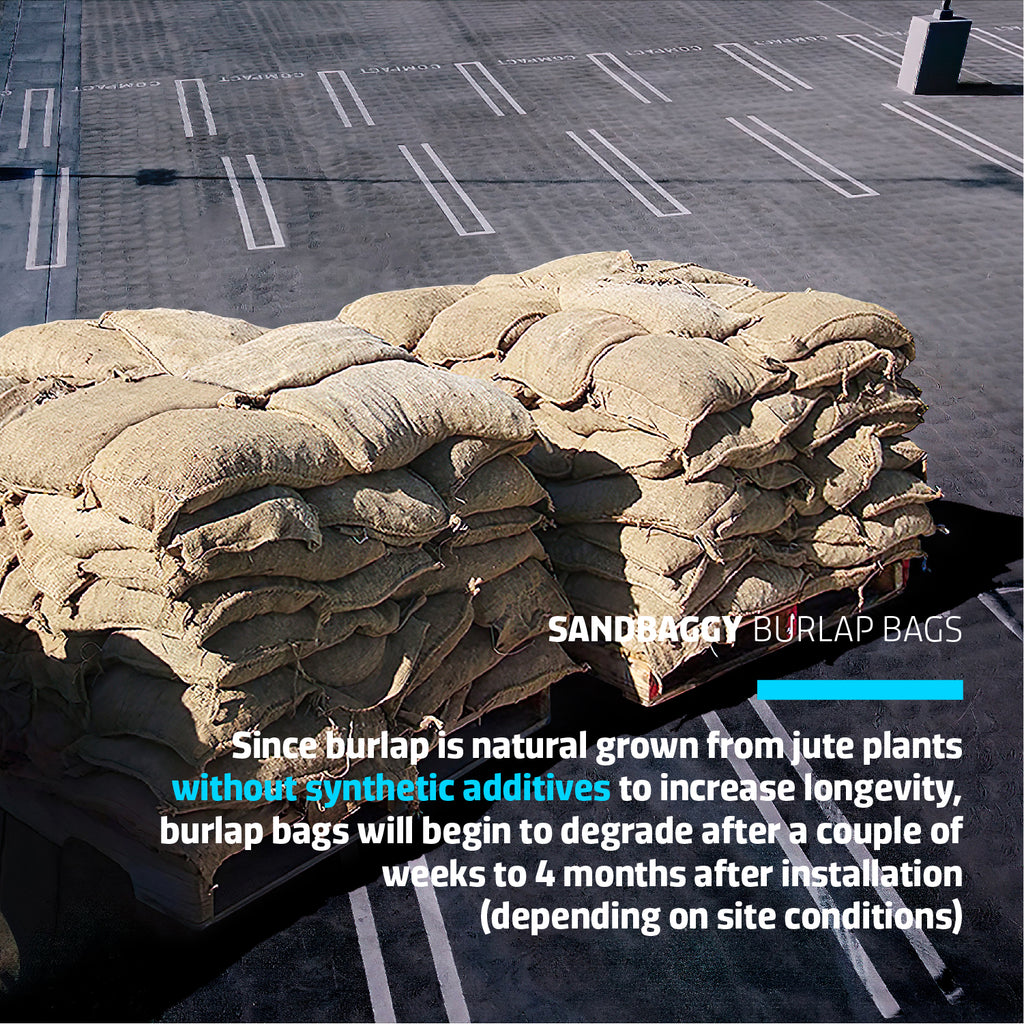 Biodegradeable burlap bags grown from natural jute plants are environmentally friendly