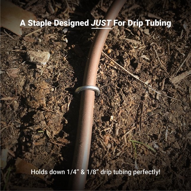 A staple designed JUST for drip tubing: holds down 1/4" and 1/8" drip tubing perfectly!