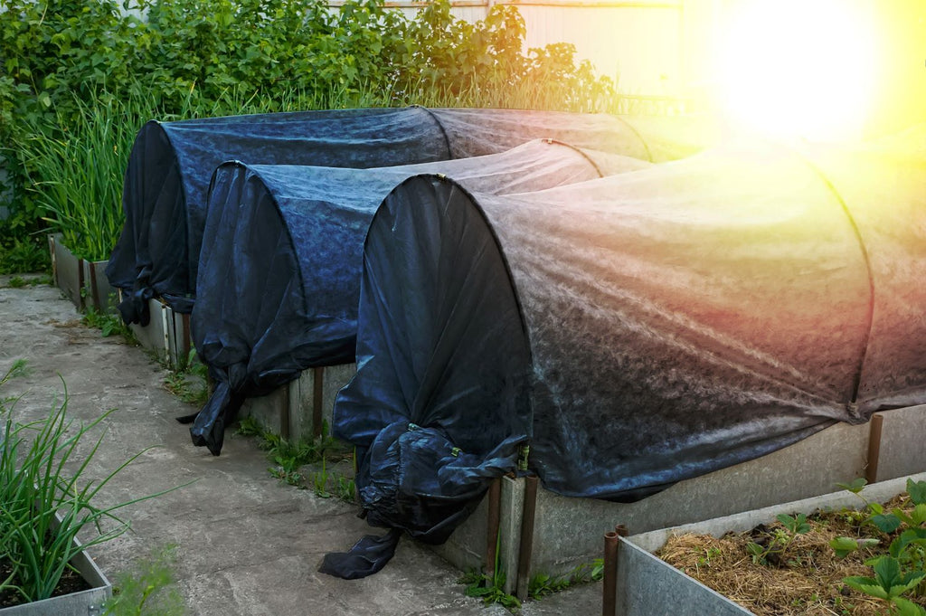 frost cloths for row covers in garden