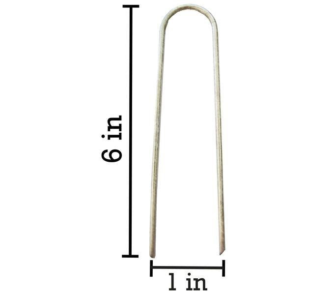 Dimensions of 6-inch galvanized staples: 6-inch long x 1-inch wide