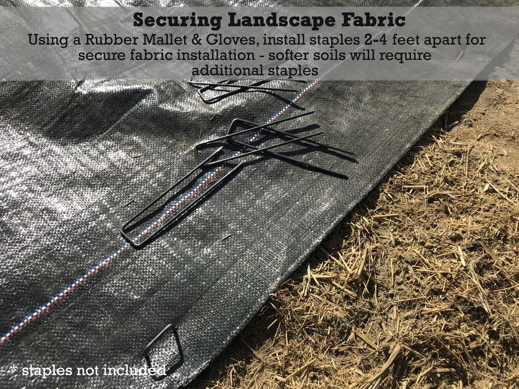 install landscape fabric with landscape staples