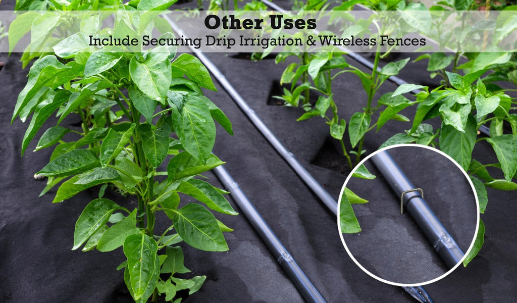 Other uses for heavy duty landscape staples include securing drip irrigation and wireless fence