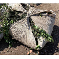 One 80x80 poly sheet bundle tied up and filled with leaves, branches, and twigs from landscaping