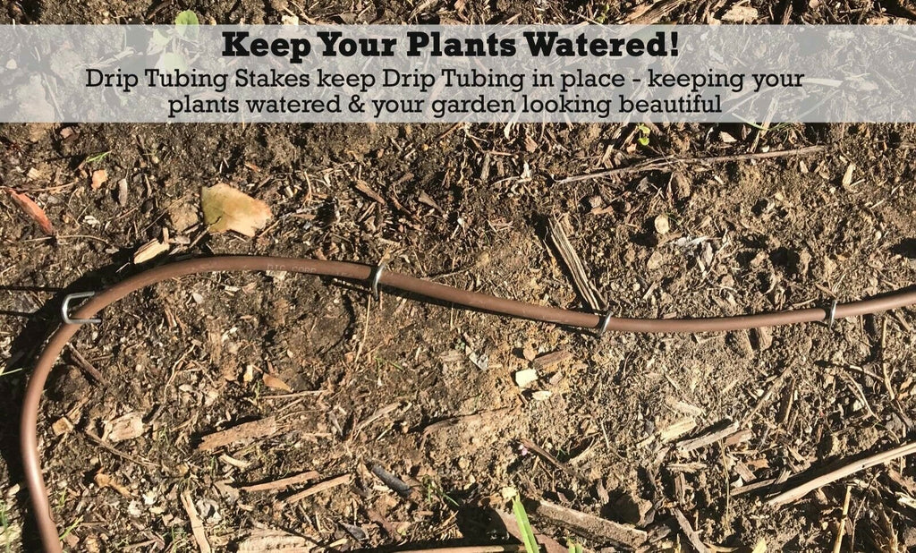 Keep Your Plants Watered! Drip Tubing Stakes keep Drip Tubing in place - keeping your plants watered and your garden looking beautiful