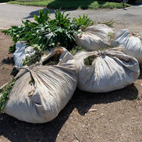 Several 80" x 80" poly sheets bundled and tied up, filled with leaves, branches, and twigs from landscaping