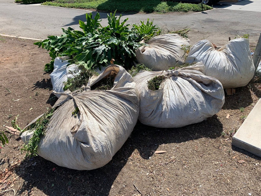 Several 80" x 80" poly sheets bundled and tied up, filled with leaves, branches, and twigs from landscaping